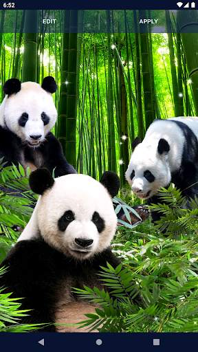 Panda Parallax Wallpapers screenshot 5