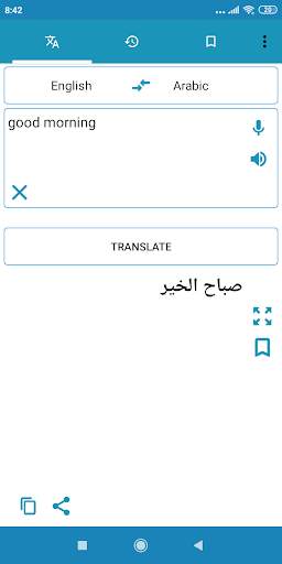 Arabic English Translator Dictionary screenshot 1