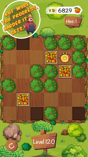 My Sokoban Puzzles screenshot 4
