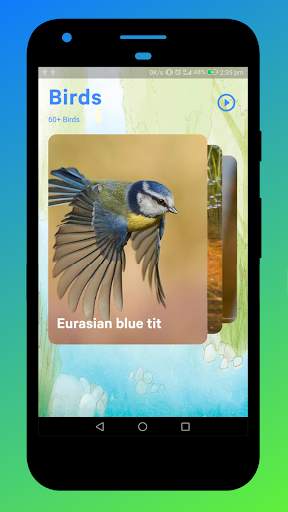 Bird Sounds screenshot 5