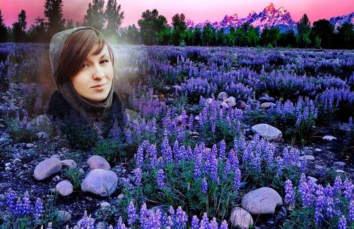 Lavender Photo Frames screenshot 2