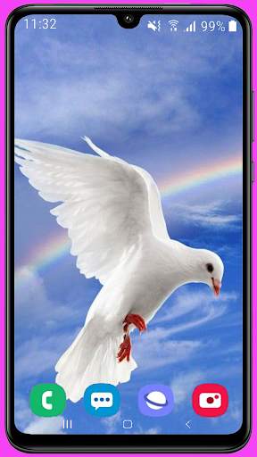 Pigeon Wallpaper Best HD screenshot 4