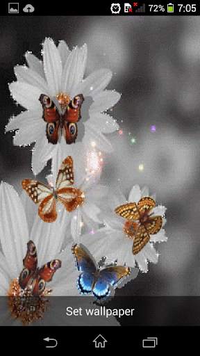 Animated 3D Butterfly screenshot 3