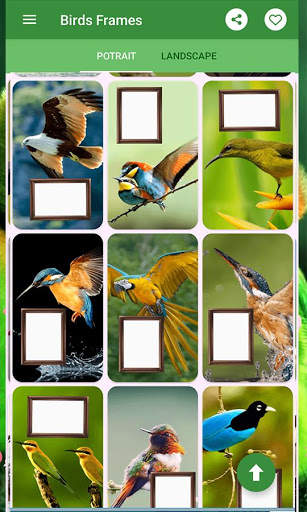 Birds Photo Frames स्क्रीनशॉट 8