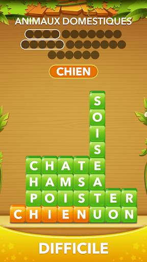 Tas de Mots - Mot de Connexion screenshot 5