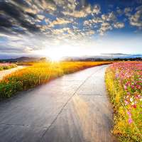 Beautiful Spring Wallpaper on 9Apps
