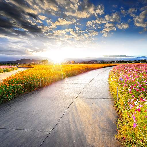 Beautiful Spring Wallpaper 1.0