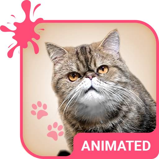 Grumpy Animated Keyboard   Live Wallpaper 3.63