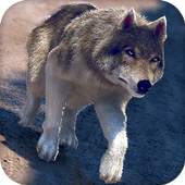 Online Wolf Games For Free 1.0.0