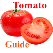 Tomato Production Guide for Tropical regions icon
