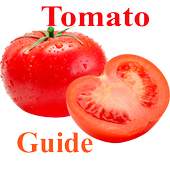 Tomato Production Guide for Tropical regions 1.0