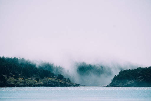 Fog Photo Frames screenshot 1