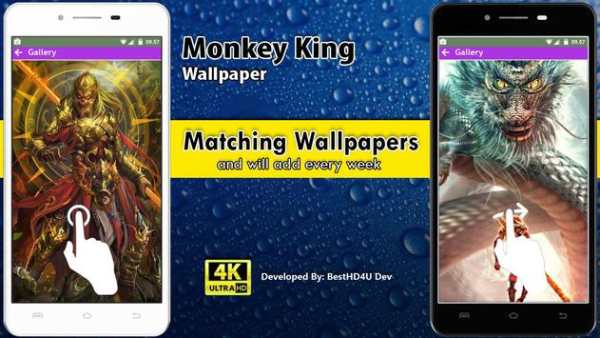 Monkey King Wallpaper screenshot 3
