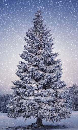 HD Christmas Live Wallpaper screenshot 15