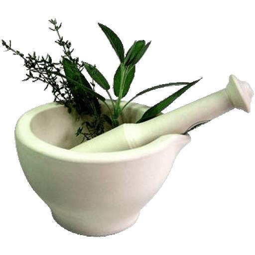 Ayurveda Nuskhe 1.0