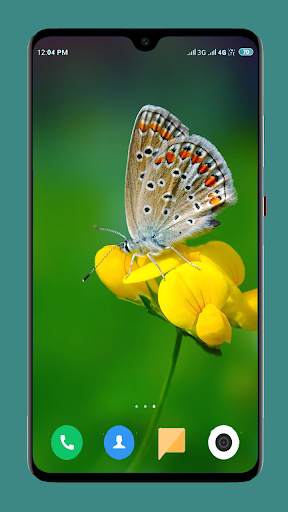 Butterfly Wallpaper 4K screenshot 8