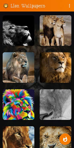 🦁 Lion Wallpaper : Wild King Backgrounds screenshot 8