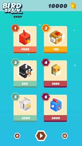 Bird Brain - Memory Game (BETA) screenshot 3