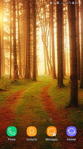Forest Wallpaper screenshot 4