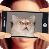 What cat am I? icon