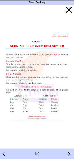 Class 3 English Grammar Book screenshot 7