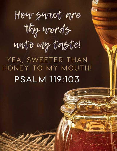 Bible Verses KJV screenshot 9