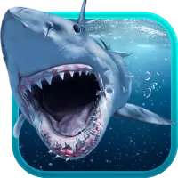 Shark Attack Animated Keyboard   Live Wallpaper on 9Apps
