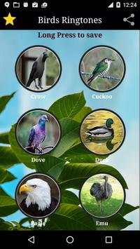 Birds Sounds screenshot 1