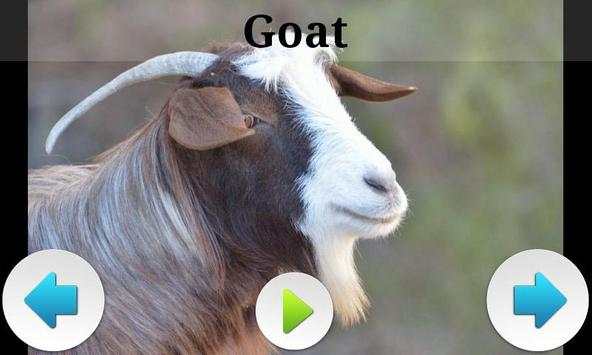 Best Funny Animals Sounds screenshot 8