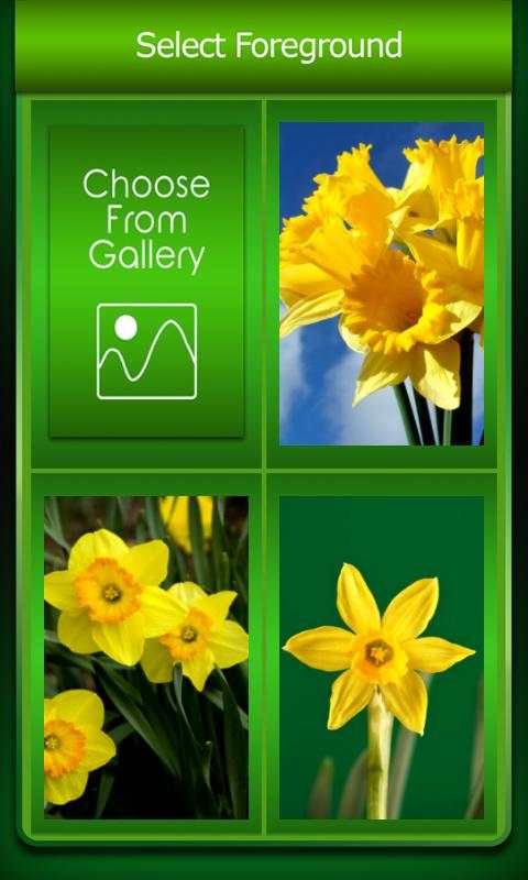 Zipper Lock Screen Daffodil screenshot 3