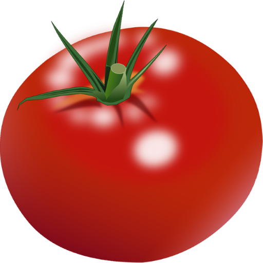 Focus Tomato icon