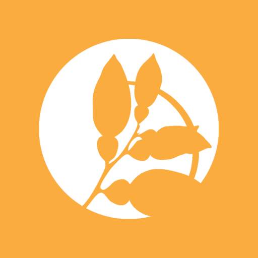 Transforming Truth App 5.6.0