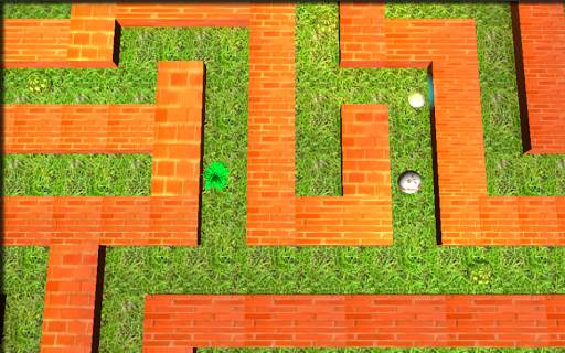 Labyrinth | Maze Ball 3D screenshot 1