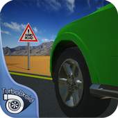 DRIVING PASSION 1.1