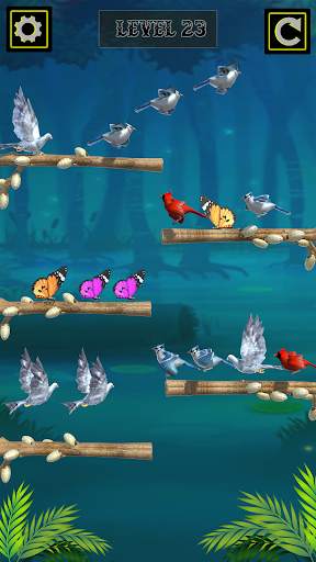 Colored Bird Sort Puzzle screenshot 2