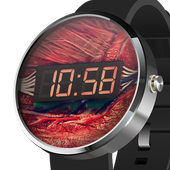 Horror Watch Face icon