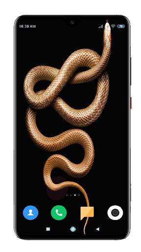 Snake Wallpaper HD screenshot 5