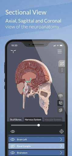 Head Atlas screenshot 3