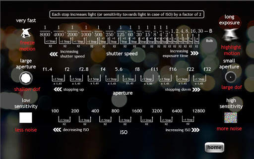 Elements of Photography screenshot 13