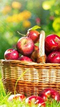 Apple Wallpapers HD screenshot 4