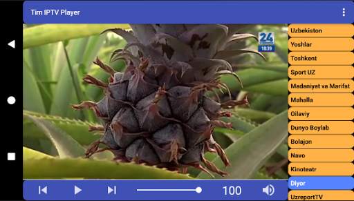 Tim IPTV Player screenshot 6