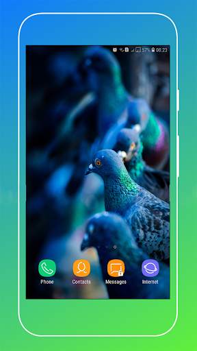 Pigeon Wallpaper screenshot 7