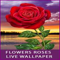 Flowers Roses Live Wallpaper