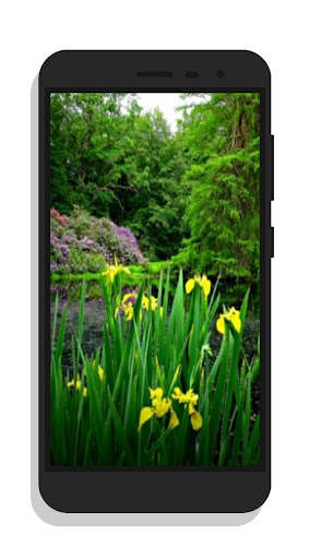 Amazing Nature Wallpaper screenshot 4