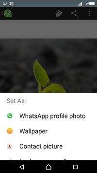 DP for Whatsapp screenshot 4