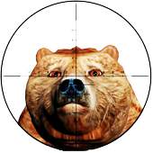 Sniper Hunting Animals 3D 1.1