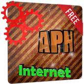 APN internet 1.0