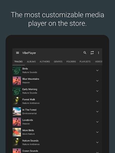 VibePlayer - Audio/Video Player screenshot 8