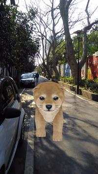 AR Puppy Camera screenshot 1