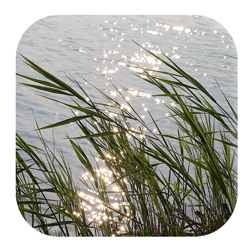 Wind Sounds icon
